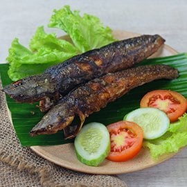 Lele Bakar Lele Bakar