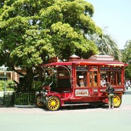 Sports or recreational areas