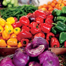 Food ingredients Food ingredients