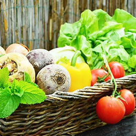 Go organic Go organic