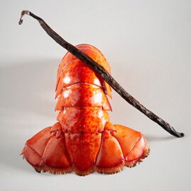 3. Vanilla and lobster
