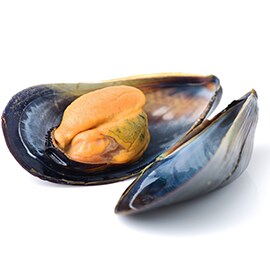 Mussels & Clams Mussels & Clams