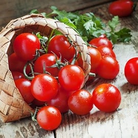 Cherry Tomatoes Cherry Tomatoes