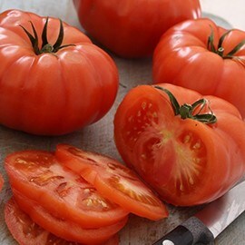Beefsteak Tomatoes Beefsteak Tomatoes