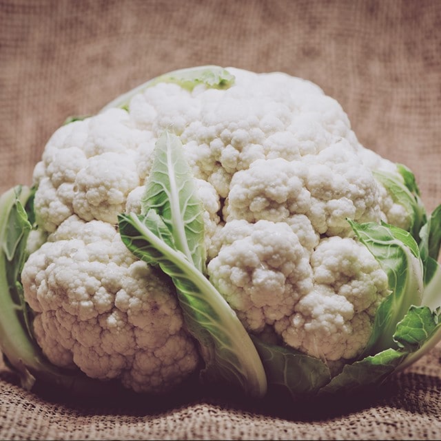 Immunity supporting ingredients to highlight on your menu  Immunity supporting ingredients to highlight on your menu