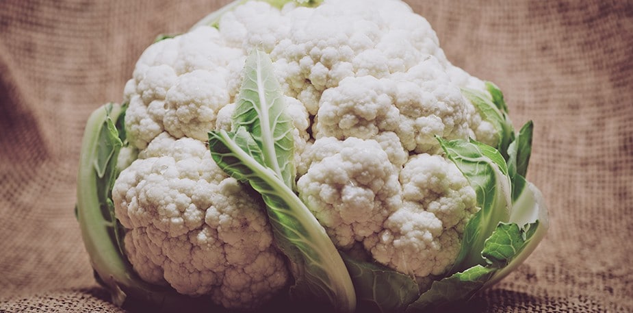 Immunity supporting ingredients to highlight on your menu 