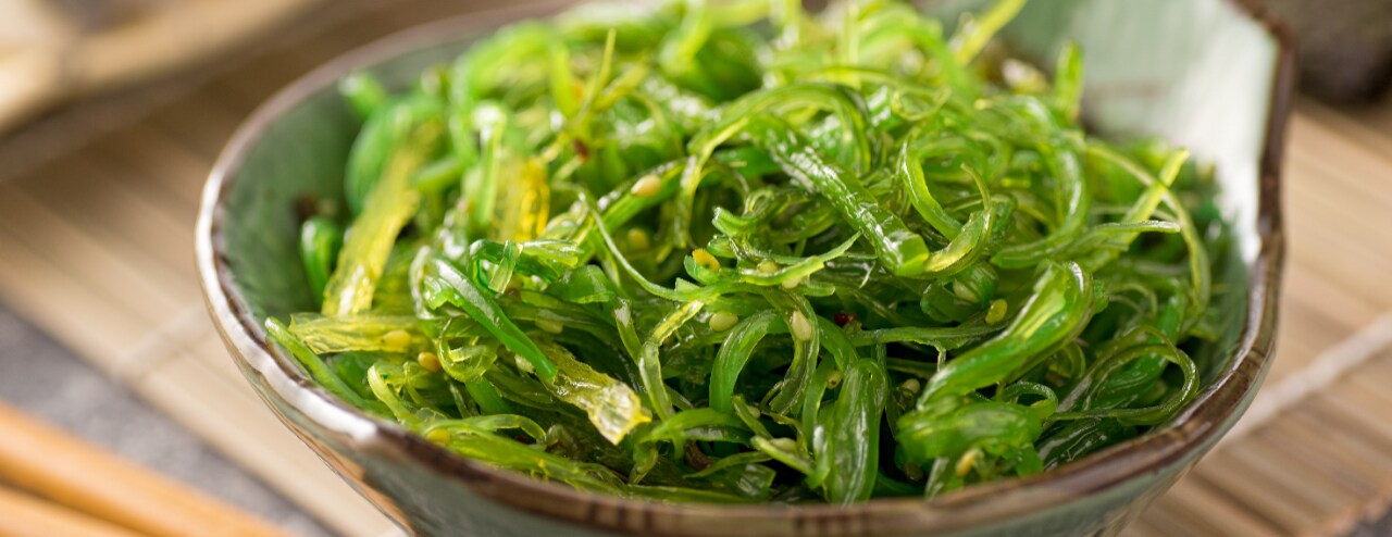 Seaweed on plate Seaweed on plate