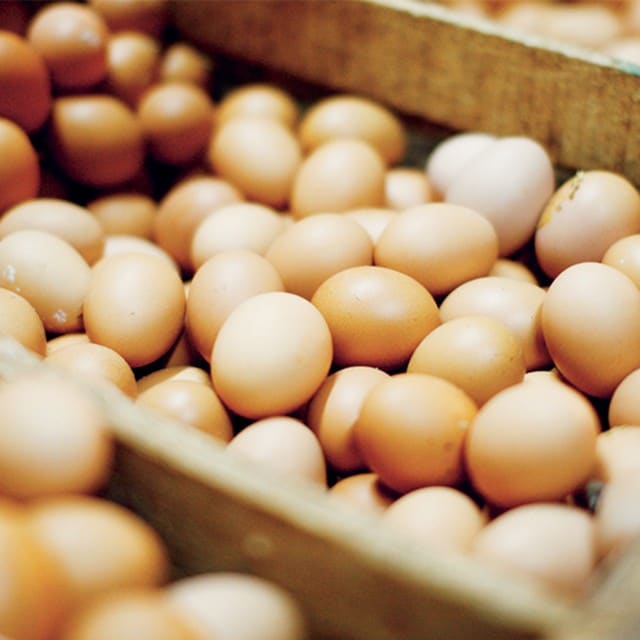 Perhitungan Biaya Makanan