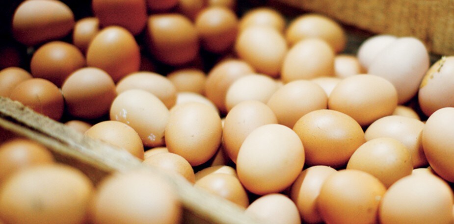 Perhitungan Biaya Makanan