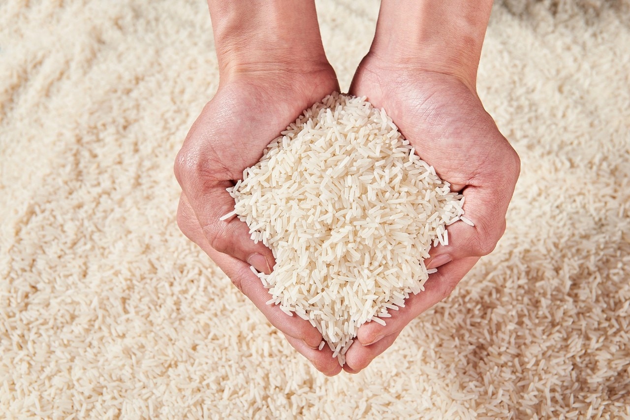 Tangan sedang meraup beras long grain.