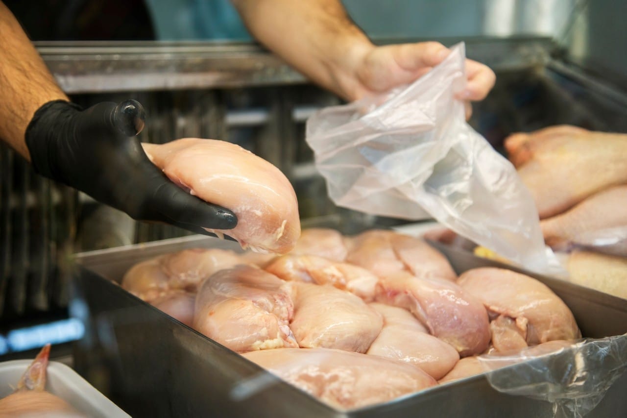 Seperti yang terlihat pada gambar, tangan chef sedang memegang potongan dada ayam