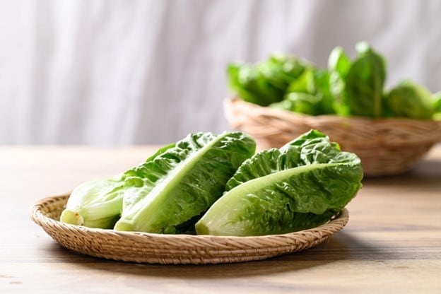 Jenis salad romaine yang fleksibel untuk banyak variasi salad. Jenis salad romaine yang fleksibel untuk banyak variasi salad.